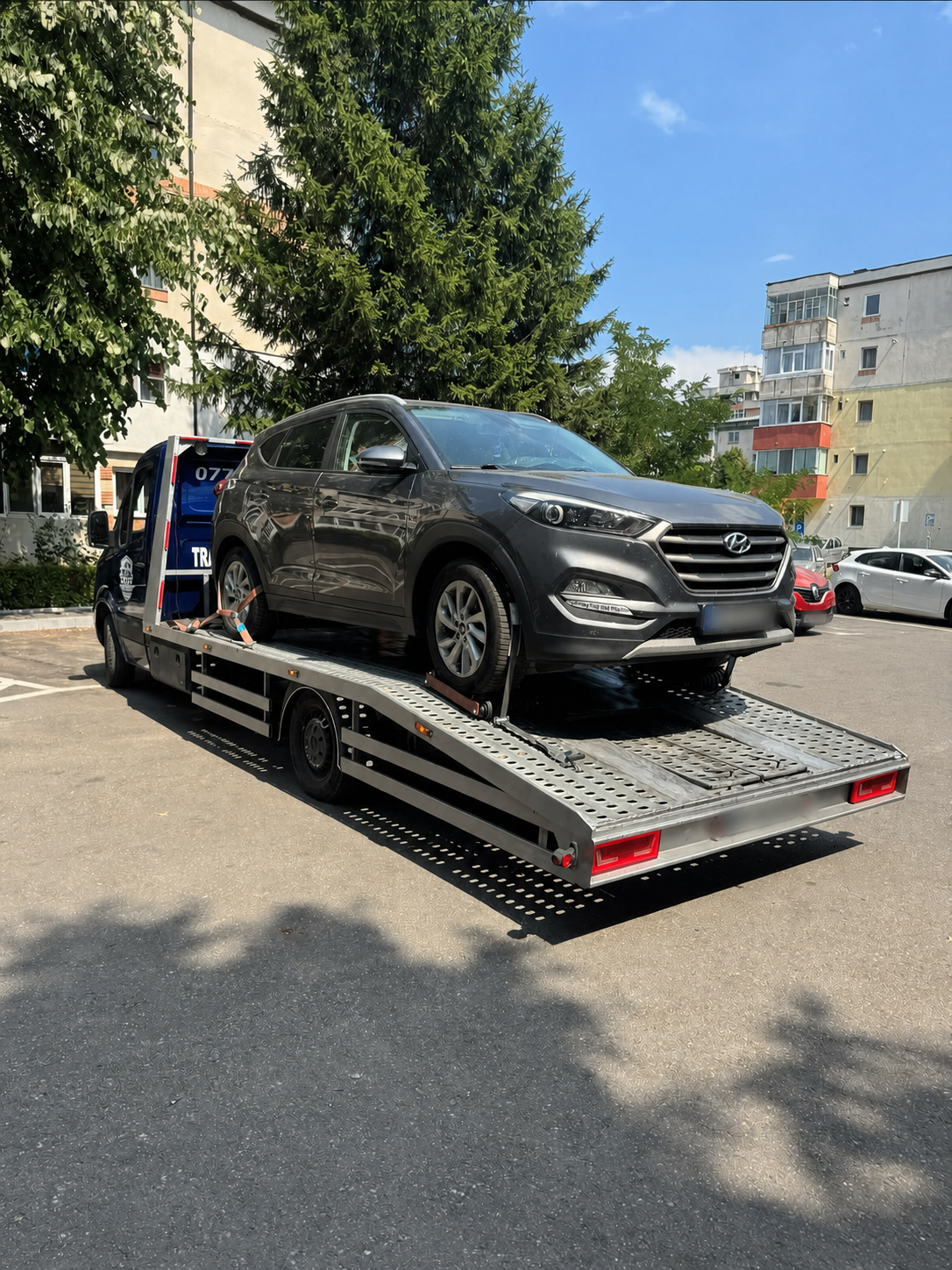 Transport auto pe platformă în Argeș